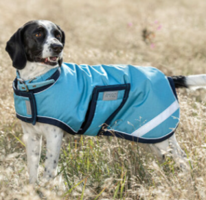 Amigo Dog Rug XL Delphinium Dog Coat