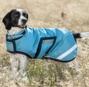 Amigo Dog Rug Large Delphinium Dog Coat