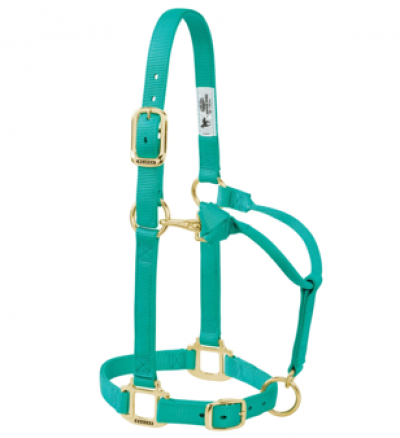 Weaver Halter 3/4" Suckling Adjustable Chin and Throat Snap Halter Emerald