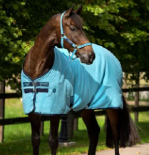 Amigo Equine Stable Sheet 72" Delphinium