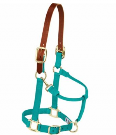 Weaver Adjustable Chin/Throat Breakaway 1" Halter Arab/Cob Emerald Green