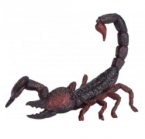 Legler Emperor Scorpion 2020 (Toy Animal Figure)