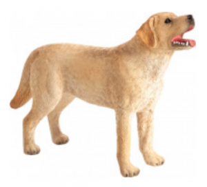 Legler Labrador (Toy Animal Figure)