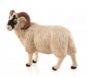 Legler Black Faced Sheep (Ram) (Toy Animal Figure)