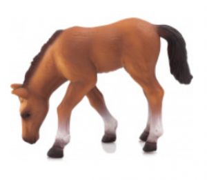 Legler Arabian Foal (Retired) (Toy Animal Figure)