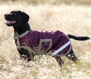 Amigo Dog Rug Large Fig/Navy Dog Coat
