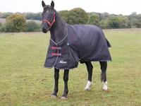 Shires Highlander Plus Standard Neck 200g Horse Blanket Black 72"