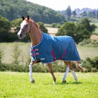 Shires Tempest Original Lite Turnout Teal 81"