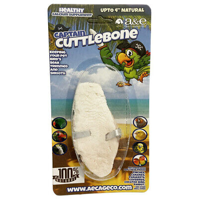 A & E Cuttlebone Natural Up to 4"