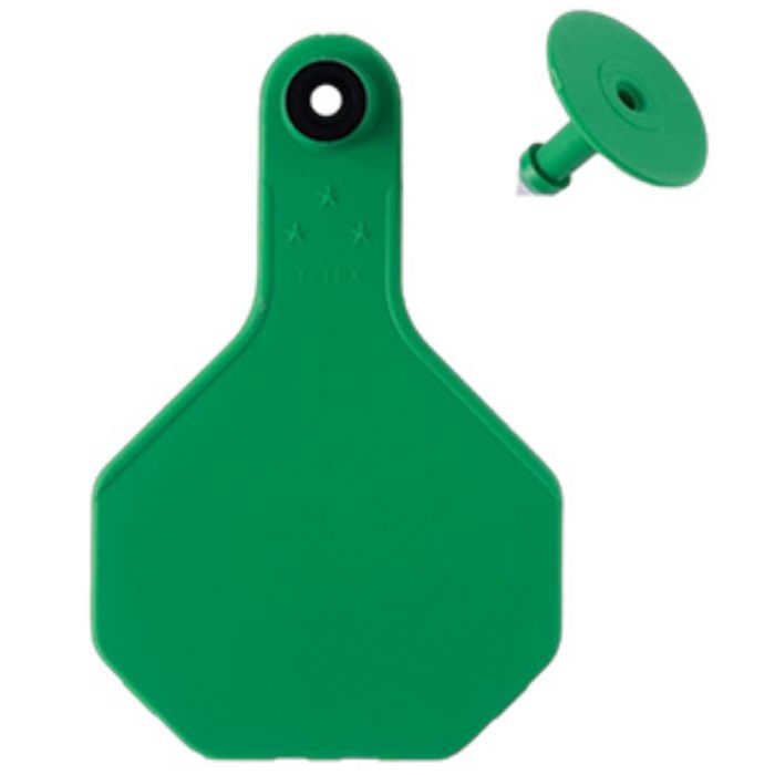 Y Tex All American Eartags Blank Green Large 25 Count