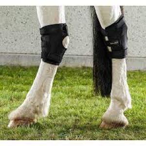 Back On Track Hock Boots Medium (Therapy Boots)