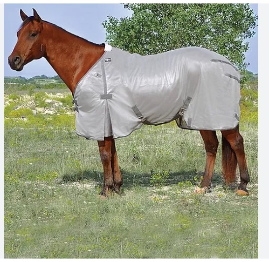 Cashel Econo Fly Sheet Small 74-76" (Fly Protection)