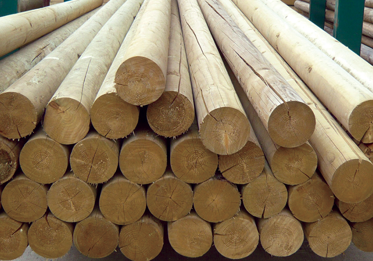 Lodgepoles 5-6" X 12'