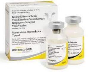 Bovi Shield Gold One Shot 50 Dose Vaccine