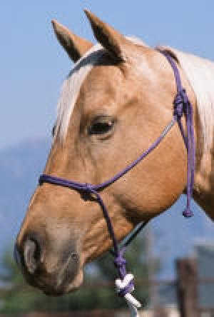 Double Diamond Rope Halter 6 mm Warmblood