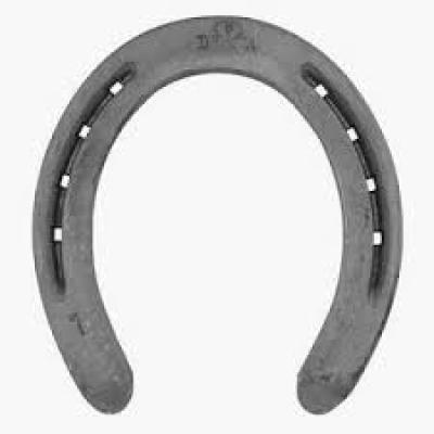 Delta Horseshoe 1 Hind 8 mm