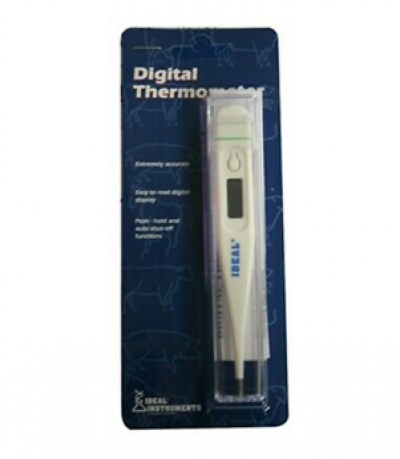 Digital Thermometer