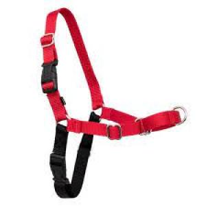 Easy Walk Dog Harness Medium/Large Black