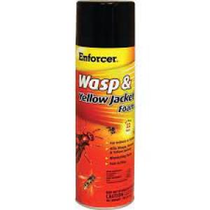 Enforcer Wasp & Hornet 1 lbs Foam (Wasp & Yellow Jacket Control)