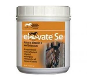 Elevate SE 2 lbs (Vitamins, Minerals & Misc)