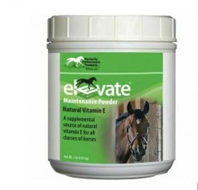 Elevate Maintenance E 2 lbs Vitamin E (Vitamins, Minerals & Misc)