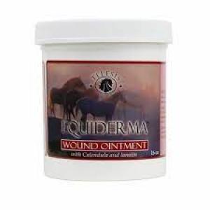 Equiderma Wound Ointment 16 oz (Wound Sprays & Ointments)