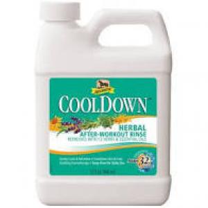 Absorbine Cool Down 32 oz (Liniments)