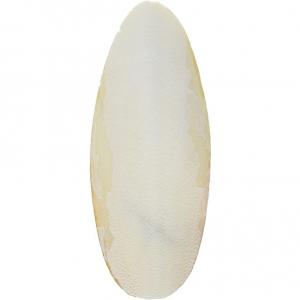 Bulk Cuttle Bone Large (Cage Birds: Treats & Supplements)