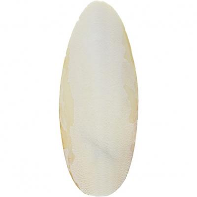 Bulk Cuttle Bone Large (Cage Birds: Treats & Supplements)