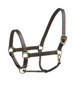 Camelot Halter Leather Horse Brown