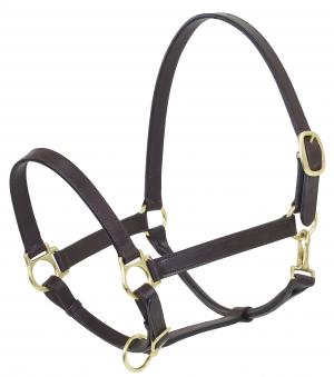 Camelot Halter Leather Weanling Brown