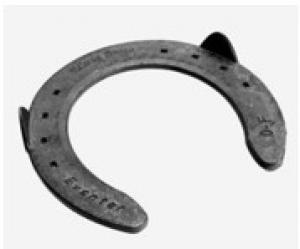 EV Horseshoe Clipped 1 Hind