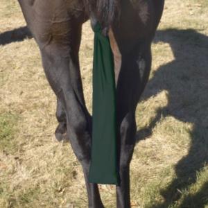 Centaur Tail Bag Lycra Hunter Green (Mane & Tail Supplies)