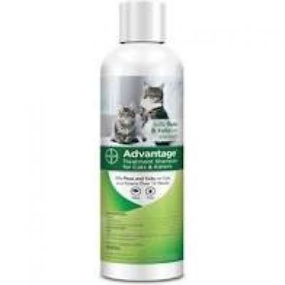 Advantage cat flea outlet shampoo