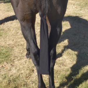 Centaur Tail Bag Lycra Black (Mane & Tail Supplies)