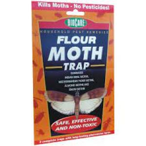 Flour Moth Trap (Insect Trap)