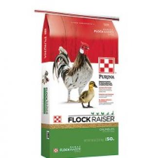 Flock Raiser 50 lbs (Poultry Feed)