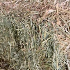 Oat Mix Hay