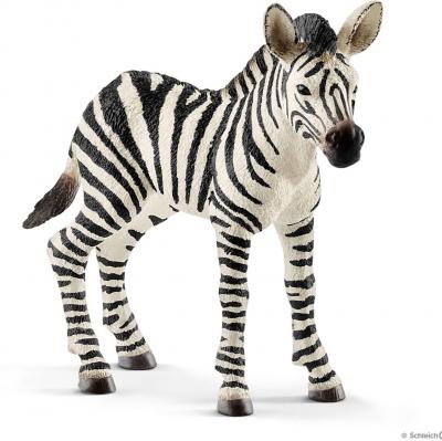 Schleich Zebra Foal (Toy Animal Figure)