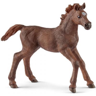 Schleich Thoroughbred Foal (Toy Animal Figure)