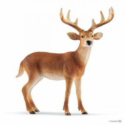 Schleich White-Tailed Buck (Toy Animal Figure)