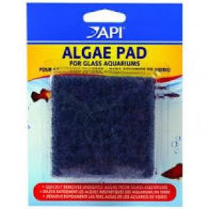 Algae Scraper Pad Glass (Fish Health & Cleaning Supplies)