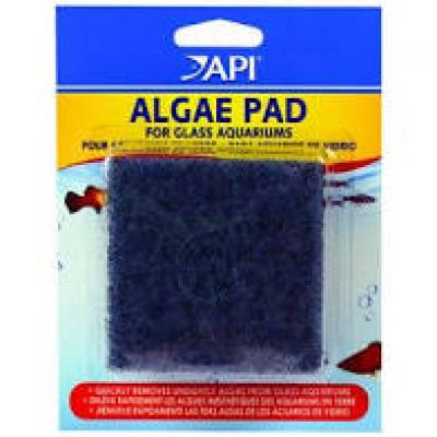 Algae Scraper Pad Glass (Fish Health & Cleaning Supplies)