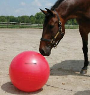 Jolly Mega Ball 25" 425 (Equine Toys)