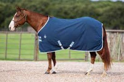 Amigo Stable Sheet 75" Navy