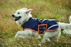 Amigo Dog Rug Medium Atlantic Dog Coat