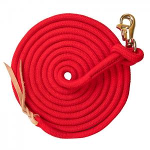 Kensington Clinician Lead Rope 15' Red