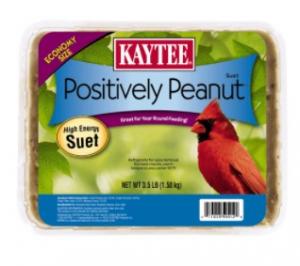 Kaytee Suet 11 oz Peanut (Wild Bird Feed)