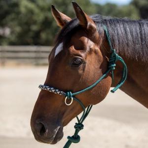 Kensington Rope Sidepull Halter Deluxe Hunter