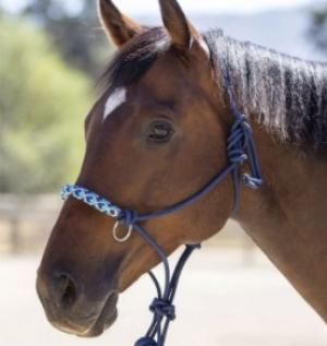 Kensington Rope Sidepull Halter Blue/Turquoise